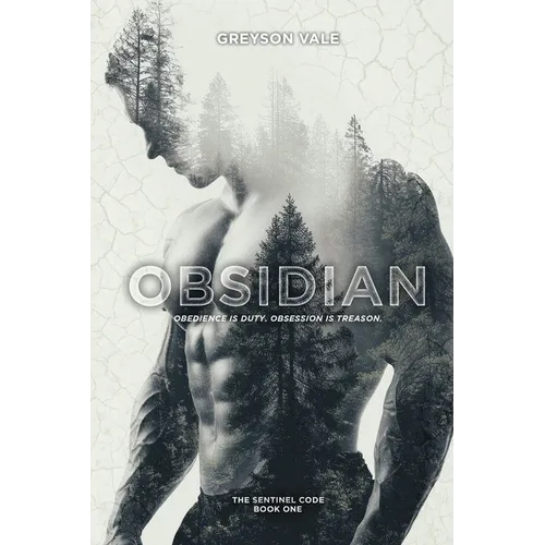 Obsidian: A Dark MM Romance