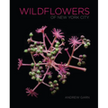 Wildflowers of New York City