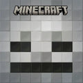 I Survived a Skeleton! (Mobs of Minecraft #2)