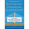 Boundary Spanning Leadership (Pb)
