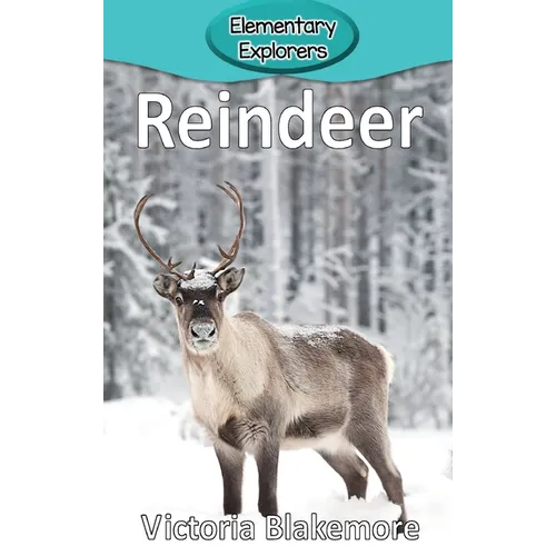 Reindeer