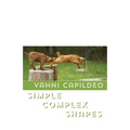 Simple Complex Shapes