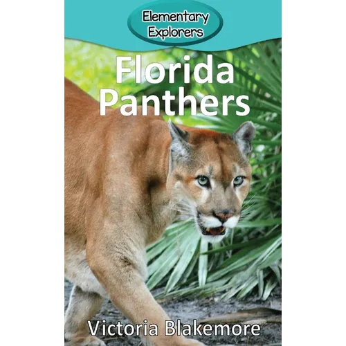 Florida Panthers