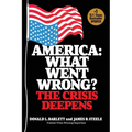 America: What Went Wrong? The Crisis Deepens
