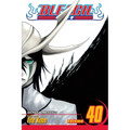 Bleach, Vol. 40: The Lust