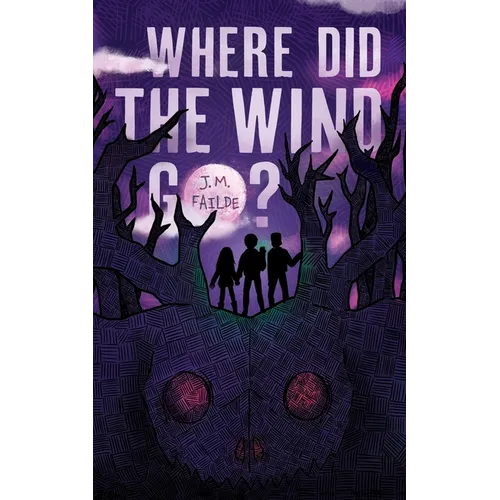 Where Did the Wind Go?