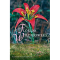 Florida Wildflowers: A Comprehensive Guide