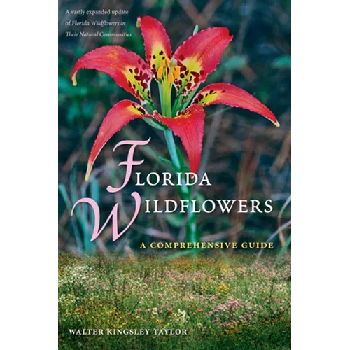 Florida Wildflowers: A Comprehensive Guide