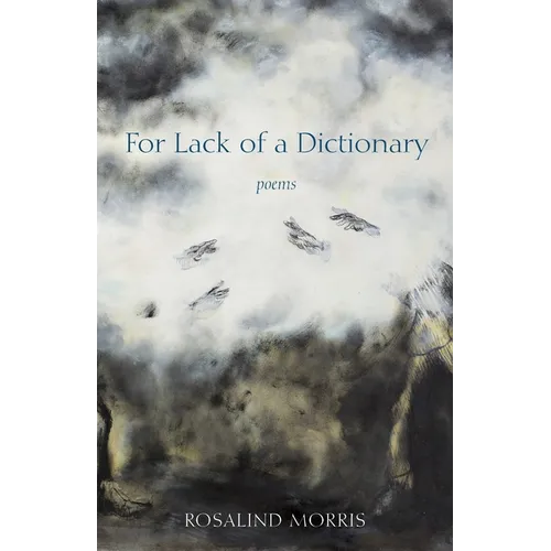 For Lack of a Dictionary