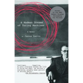 A Madman Dreams of Turing Machines