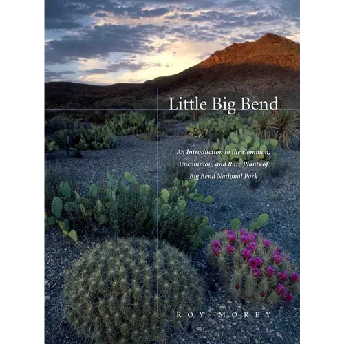 Little Big Bend: Common, Uncommon, and Rare Plants of Big Bend National Park