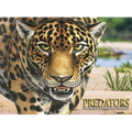 Predators: The World's Deadliest Animals