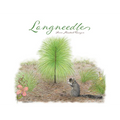 Longneedle
