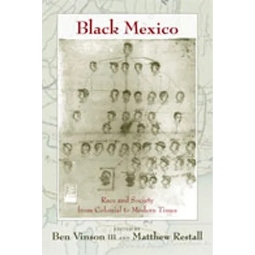 Black Mexico: Race and Society from Colonial to Modern Times