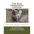 The Blue Andalusian Chicken: Chicken Breeds Book 36