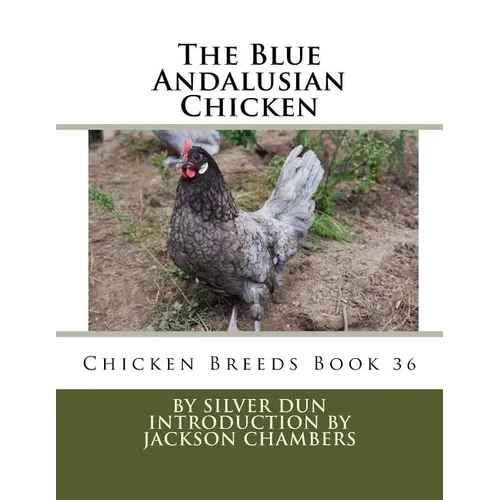 The Blue Andalusian Chicken: Chicken Breeds Book 36