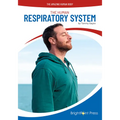 The Human Respiratory System