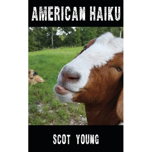 American Haiku