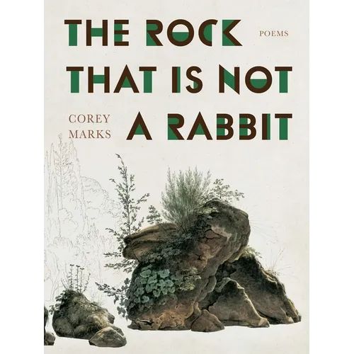 The Rock That Is Not a Rabbit: Poems