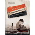 My 30 Days Under the Overpass: Not Your Ordinary Devotional