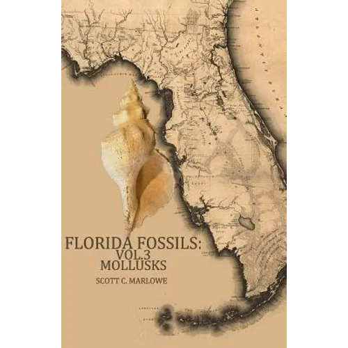 Florida Fossils: Mollusks