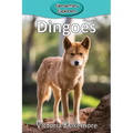 Dingoes