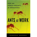 Ants at Work: How an Insect Society Is Organized