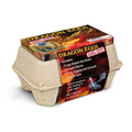 Dragon Eggs Dig Kit
