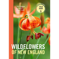 Wildflowers of New England