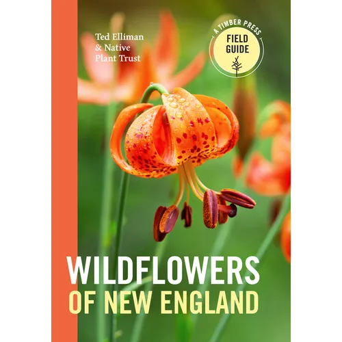 Wildflowers of New England