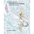 Illustrated Review of Neuroanatomy: 3 Dimensional Perspective