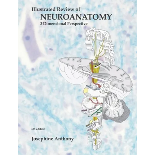 Illustrated Review of Neuroanatomy: 3 Dimensional Perspective