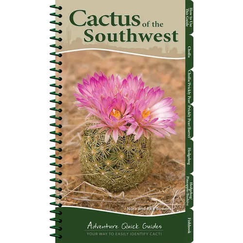 Cactus of the Southwest: Your Way to Easily Identify Cacti