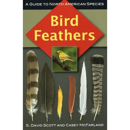 Bird Feathers