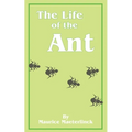 The Life of the Ant