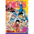 One Piece, Vol. 107