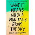 What It Means When a Man Falls from the Sky: Stories