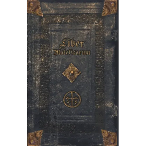 Liber Maleficarum: The mysterious diary of an unknown witch