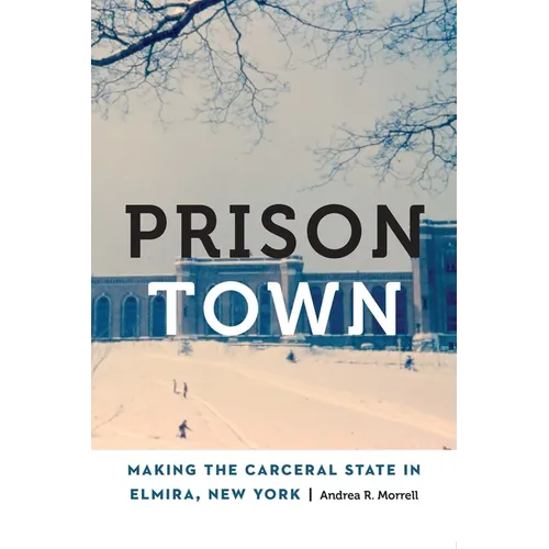 Prison Town: Making the Carceral State in Elmira, New York