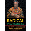 Radical Insurgencies