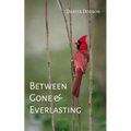 Between Gone and Everlasting