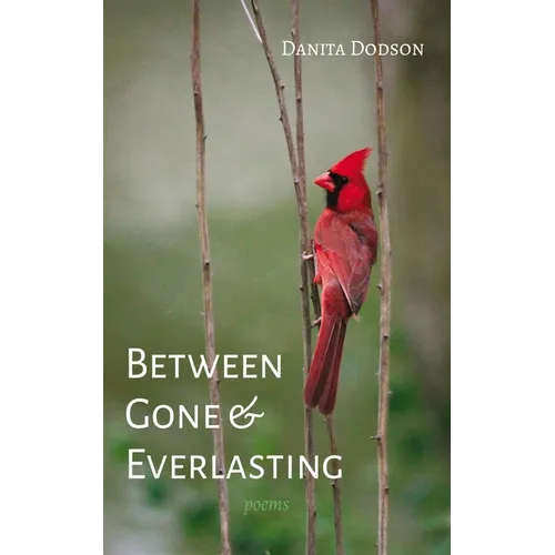 Between Gone and Everlasting