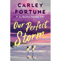 Our Perfect Storm