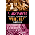 Black Power, White Heat: From Solidarity Politics to Radical Chic