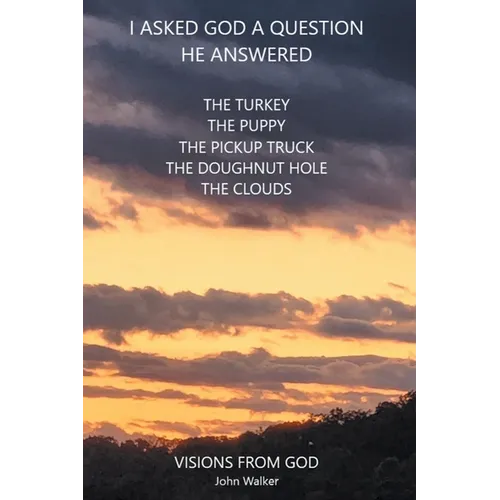 I Asked God a Question He Answered: Visions from God