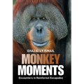 Monkey Moments: Encounters in Rainforest Escapades