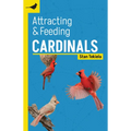 Attracting & Feeding Cardinals