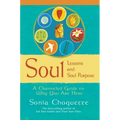 Soul Lessons and Soul Purpose: A Channeled Guide to Why You Are Here