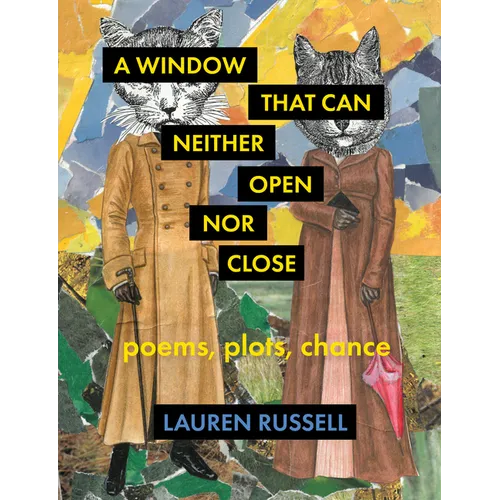 A Window That Can Neither Open Nor Close: Poems, Plots, Chance