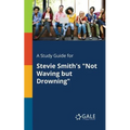A Study Guide for Stevie Smith's "Not Waving but Drowning"